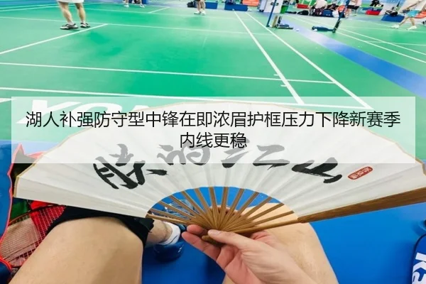 湖人补强防守型中锋在即浓眉护框压力下降新赛季内线更稳